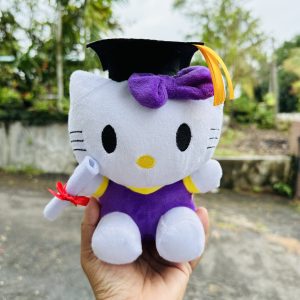 Graduation Hello kitty 17cm 24 IMG 5026 300x300 1